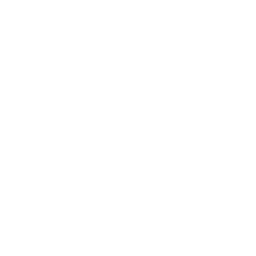 Sergio 2V