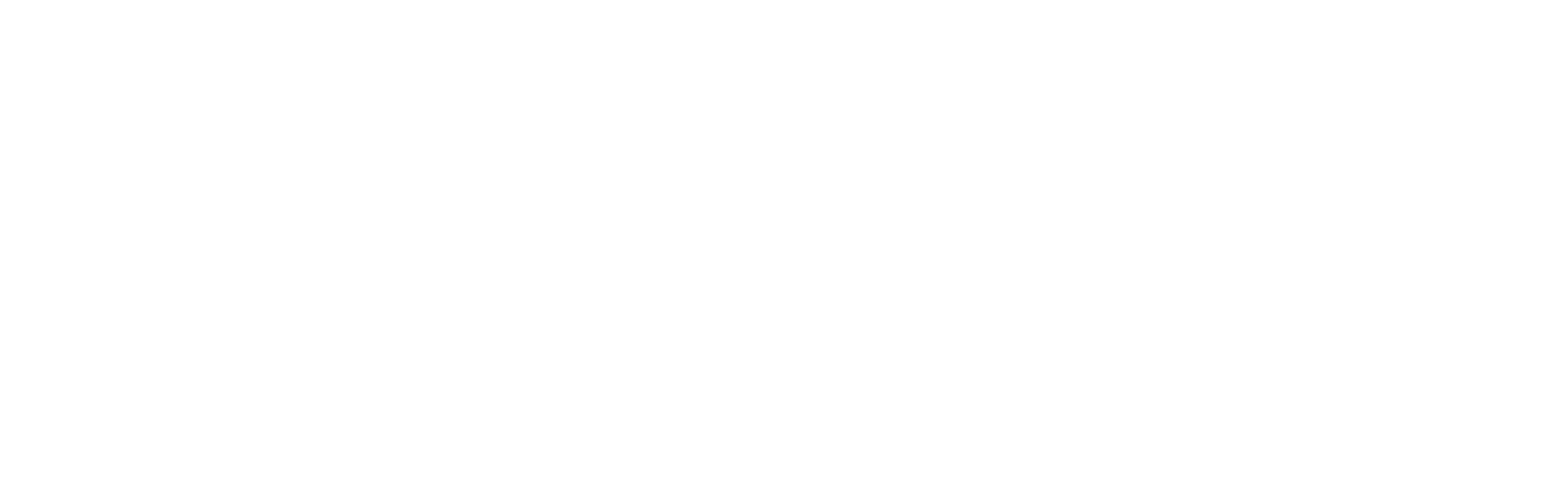 Electrogayfer