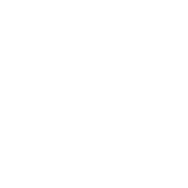 Bar Erizana
